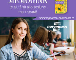 Idei practice pentru invatat in sesiune de la Memogink