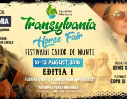 Festivalul Cailor de Munte – Transylvania Horse Fair