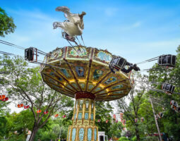 Vlad Pahontu – Fotograf Profesionist – Succesul poate fi obtinut și în România! Nu toți tinerii aleg să plece din țară