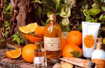 Divele aleg întotdeauna Ginger Orange de la Sabon