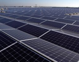 S-A FINALIZAT INSTALAREA CELUI MAI PUTERNIC ACOPERIȘ DIN PANOURI SOLARE DIN LUME CARE ACUM ESTE FUNCȚIONAL LA DEPOZITUL ȘI CENTRUL LOGISTIC PVH EUROPE