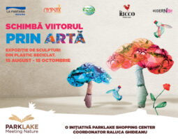 Schimbă viitorul prin artă